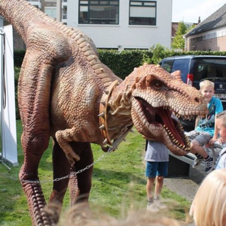 Dinosaur Costume For Outdoor Playground